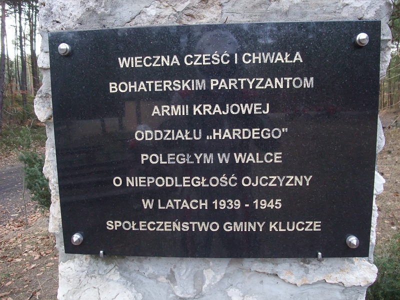 Obraz 206